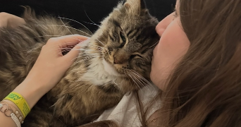léa pet sitter à PARIS 15 75015_1