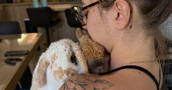 océane pet sitter à RODILHAN 30230_0