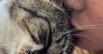 aurélia pet sitter à PARIS 15 75015_1