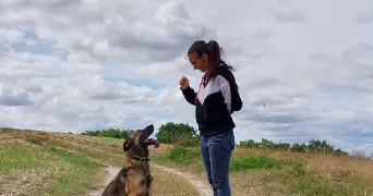 maelys pet sitter à ST SULPICE ET CAMEYRAC 33450