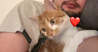 yahya pet sitter à HOUILLES 78800_3
