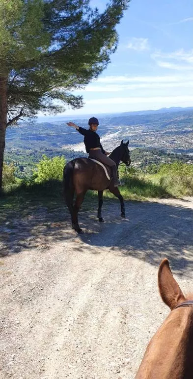 lauren pet sitter à ST MAUR DES FOSSES 94100