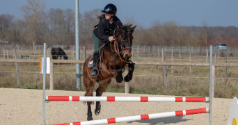 enna pet sitter à DECINES CHARPIEU 69150_0