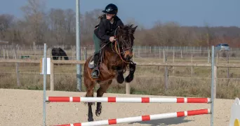 enna pet sitter à DECINES CHARPIEU 69150