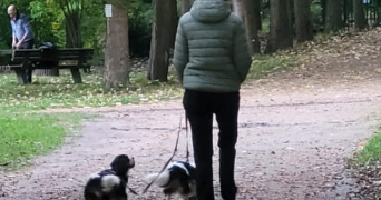 ana pet sitter à VERSAILLES 78000_0