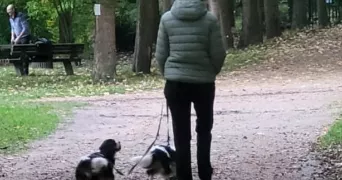 ana pet sitter à VERSAILLES 78000