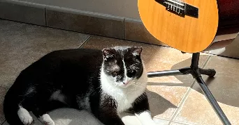 johanna pet sitter à VENANSAULT 85190