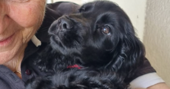 cyrielle pet sitter à SURESNES 92150_10