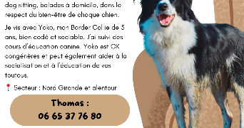 thomas pet sitter à ST ANDRE DE CUBZAC 33240_1