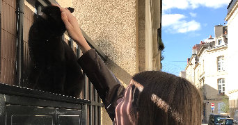 lucie pet sitter à OLORON SAINTE MARIE 64400_1