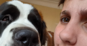 marylou pet sitter à NANCY 54000_1