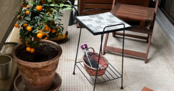 catherine pet sitter à PARIS 07 75007_2