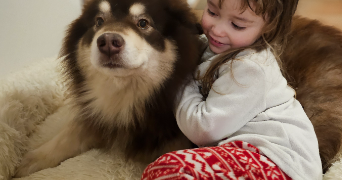 emilie pet sitter à MONTOIS LA MONTAGNE 57860_1