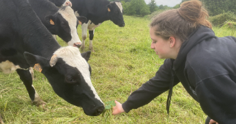 camille pet sitter à HALLENNES LEZ HAUBOURDIN 59320_1