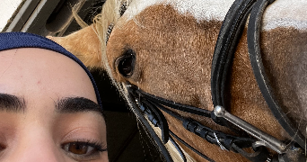 camille pet sitter à SAINTRY SUR SEINE 91250_2