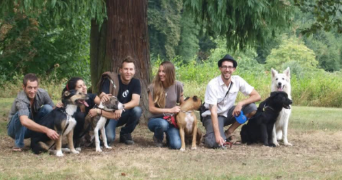 astrid pet sitter à BEAUVAIS 60000_11