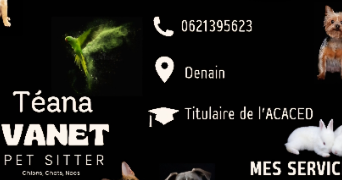 teana pet sitter à DENAIN 59220_0