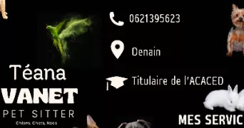 teana pet sitter à DENAIN 59220