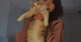 thanh cat sitter à LE PERREUX SUR MARNE 94170_1