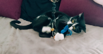 giulia pet sitter à IVRY SUR SEINE 94200_5