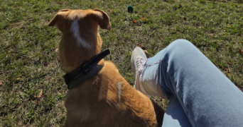 morgane pet sitter à BUC 78530_2