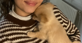 sanhaji pet sitter à VANDOEUVRE LES NANCY 54500_3