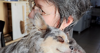 vilia dog sitter à CHEMILLE EN ANJOU 49120_0