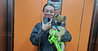 elisa pet sitter à BOE 47550_2