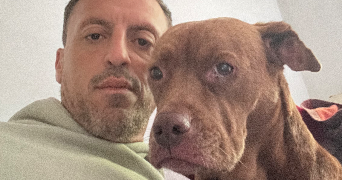 olivier dog sitter à L ETANG LA VILLE 78620_7