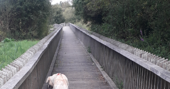 anne-sophie pet sitter à LA CHEVROLIERE 44118_9