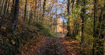 jordane pet sitter à LAVELANET 09300_1