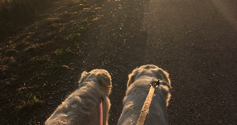 stephanie pet sitter à MARSEILLE 04 13004_3