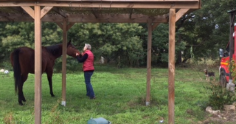 solange pet sitter à PARIS 13 75013_1