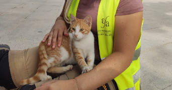 chloé pet sitter à SAULX LES CHARTREUX 91160_1