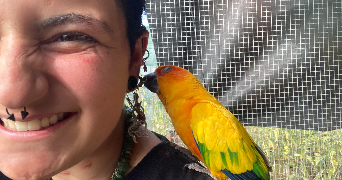 léo pet sitter à DONNERY 45450_3