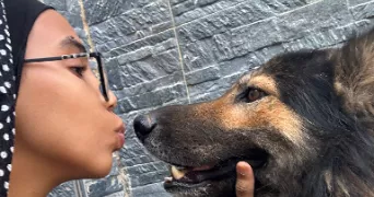 hiba pet sitter à TOULOUSE 31400