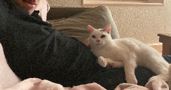 elodie pet sitter à LAROQUE TIMBAUT 47340_3