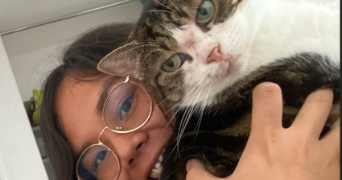 kiou pet sitter à PARIS 11 75011_3