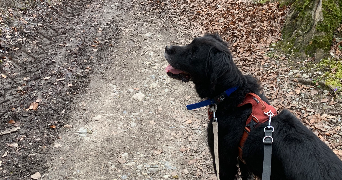 solene pet sitter à MINZIER 74270_9