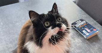 alexandra pet sitter à TOURCOING 59200_2