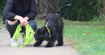 maureen pet sitter à MARSAC SUR DON 44170_1