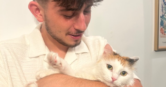 merlin pet sitter à LYON 03 69003_1