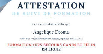 Angelique pet sitter à VIREUX MOLHAIN 08320_5