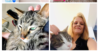 séverine  pet sitter à 59000 Lille 59000_8