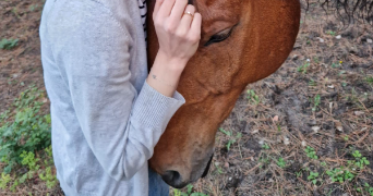 noémie pet sitter à YERRES 91330_1