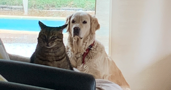 léa pet sitter à CLERMONT FERRAND 63000_2