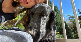 daphné pet sitter à PONTAULT COMBAULT 77340_6