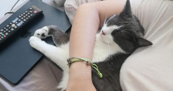 inès pet sitter à AVIGNON 84000_2