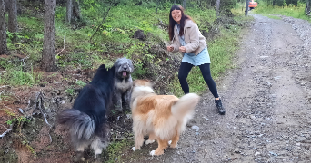 michèle pet sitter à CANCALE 35260_0