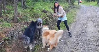 michèle pet sitter à CANCALE 35260